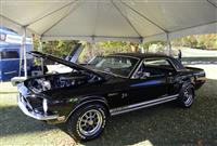 1968 Ford Shelby Mustang GT500.  Chassis number 8R01S108113-CSS002