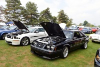 1983 Ford Mustang