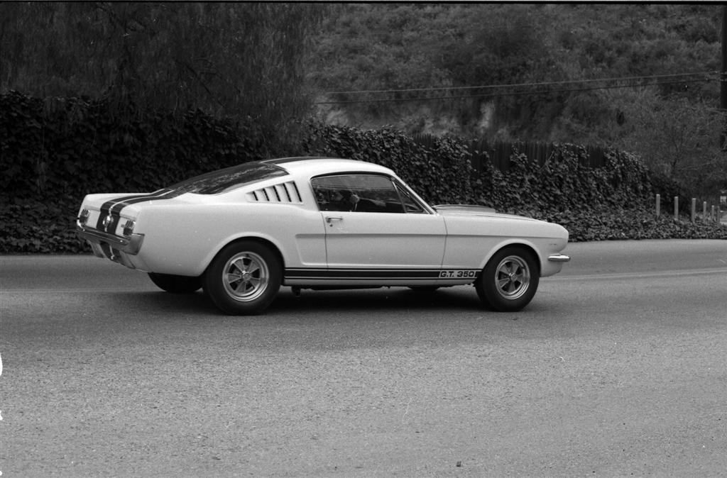 1965 Shelby Mustang  GT350