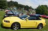 2003 Ford Mustang image