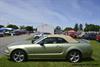 2006 Ford Mustang image