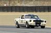 1965 Shelby Mustang  GT350