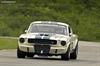 1965 Shelby Mustang  GT350