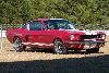 1966 Shelby Mustang GT350