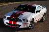 2007 Shelby Mustang GT500 Red Stripe