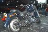 2006 Ford Harley-Davidson F150