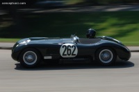 1953 Jaguar C-Type