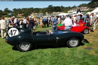 1955 Jaguar XK-D D-Type