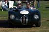 1952 Jaguar C-Type