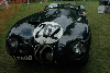 1953 Jaguar C-Type