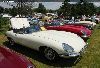 1966 Jaguar XKE E-Type