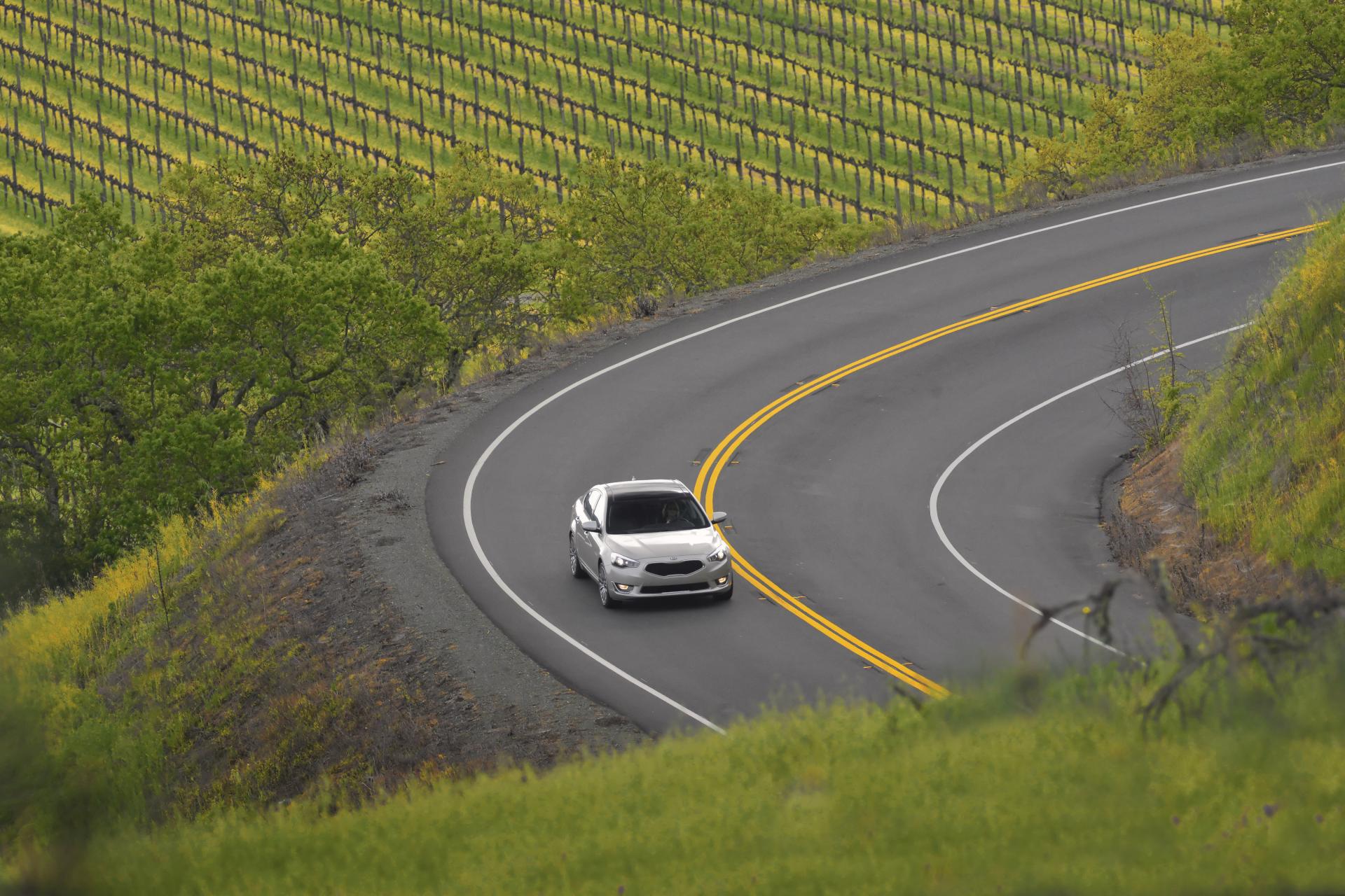 2014 Kia Cadenza