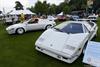 1989 Lamborghini Countach 25th Anniversary