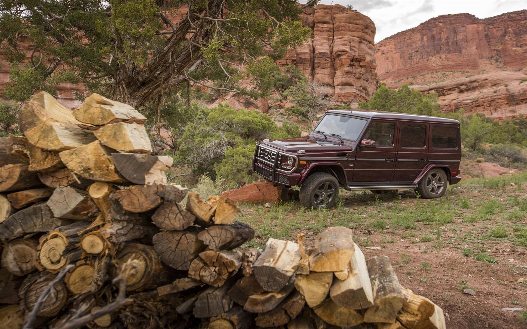 2017 Mercedes-Benz G-Class