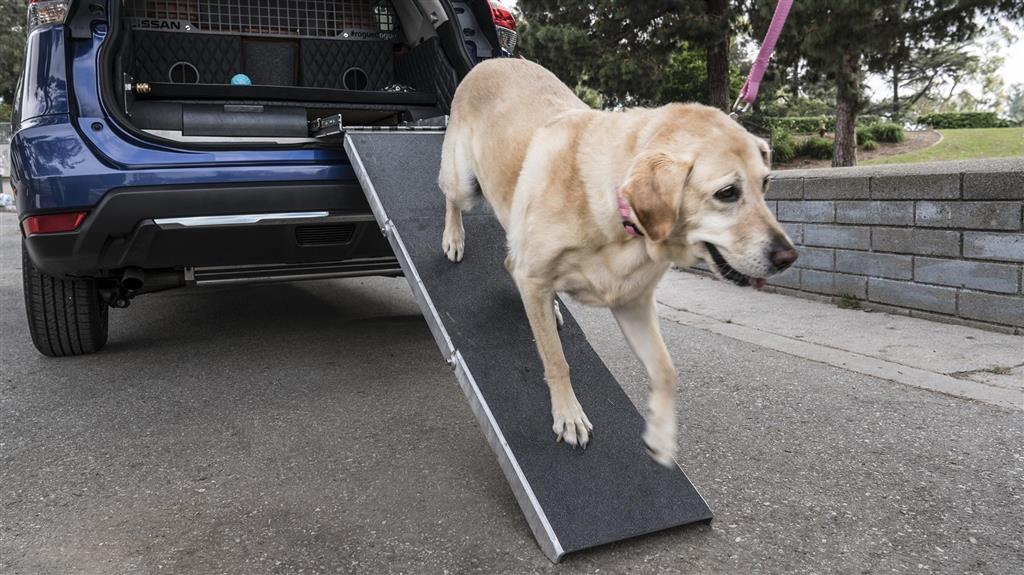 2017 Nissan Rogue Dogue