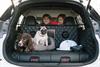 2017 Nissan X-Trail 4Dogs