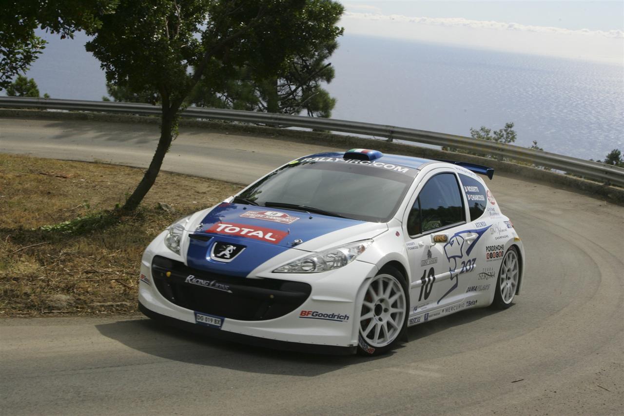 2006 Peugeot 207 Super 2000