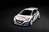 2013 Peugeot 208 R5 Rally