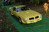 1976 Pontiac Firebird Trans Am