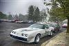 1981 Pontiac Firebird image