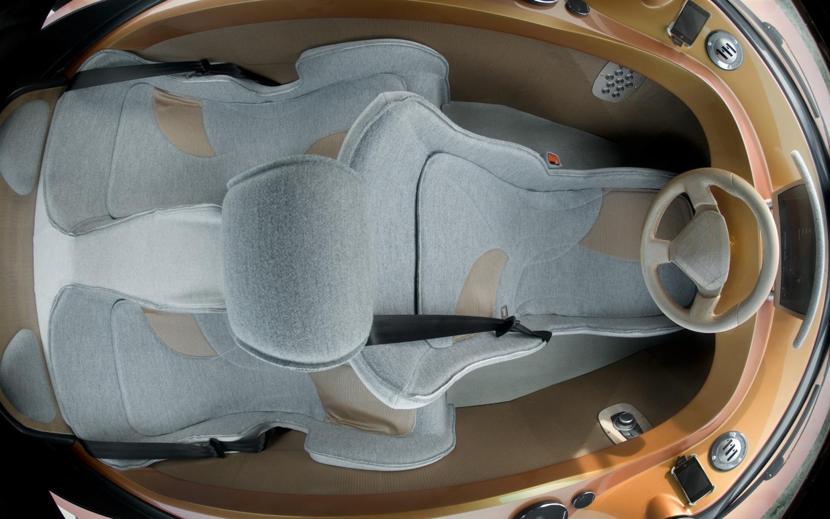 2009 Rinspeed iChange Concept