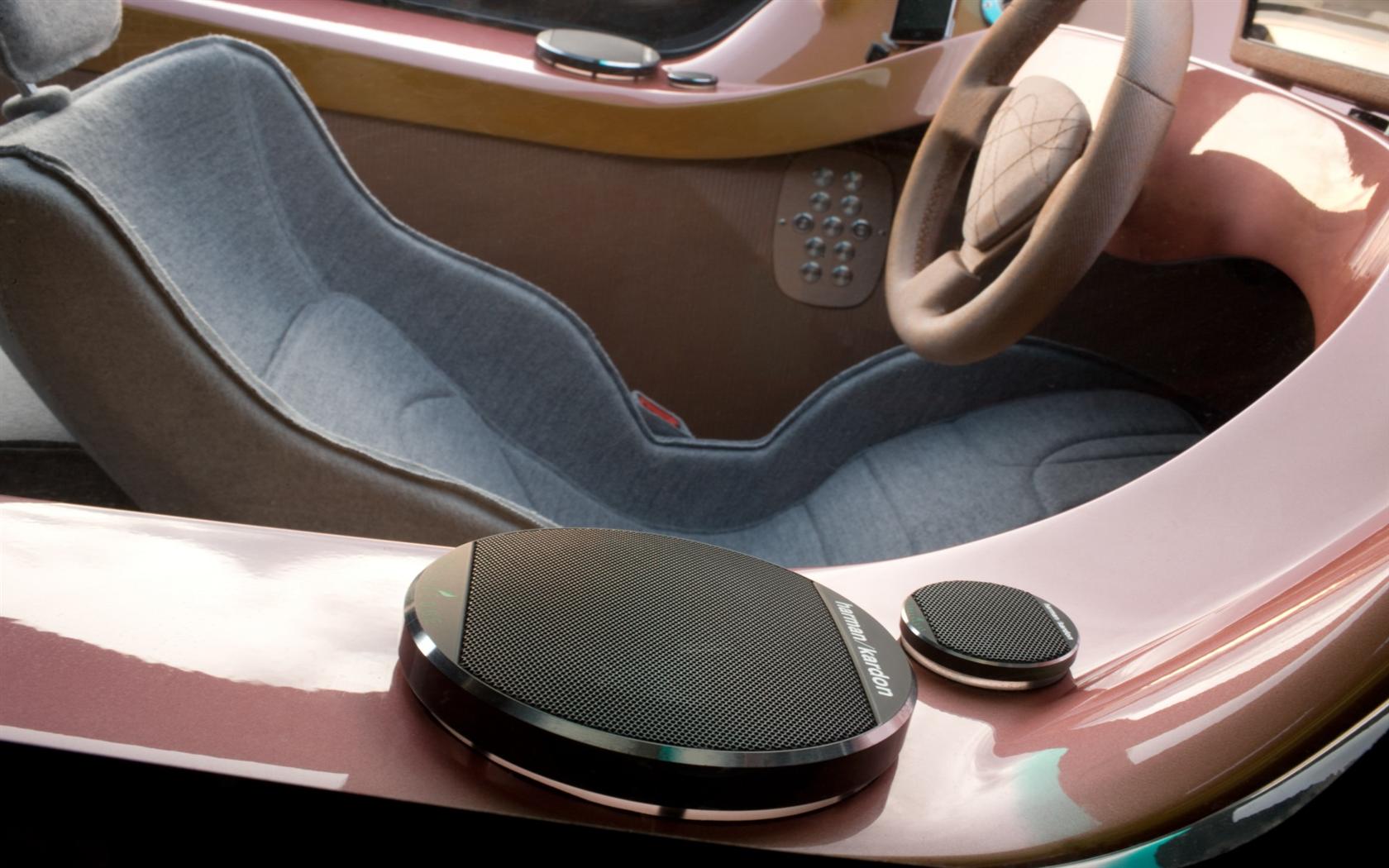 2009 Rinspeed iChange Concept