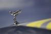 2024 Rolls-Royce Spectre Semaphore