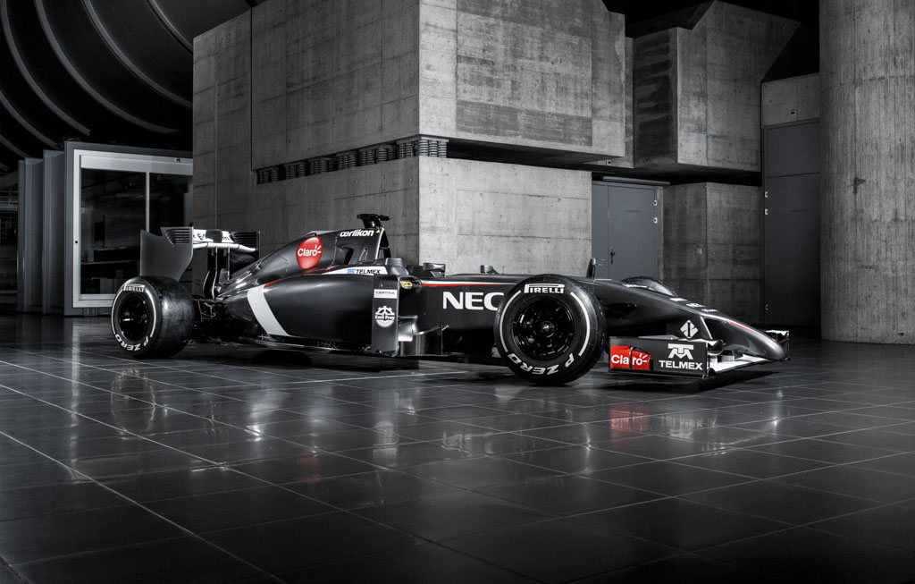 2014 Sauber Formula 1 Season