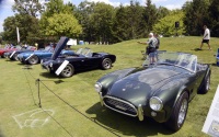 1964 Shelby Cobra 289.  Chassis number CSX2367