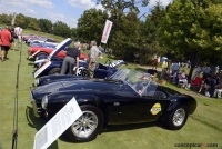 1965 Shelby Cobra 427.  Chassis number CSX 3130