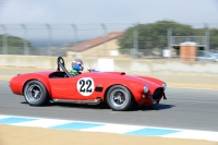 1965 Shelby Cobra 427.  Chassis number CSX3195