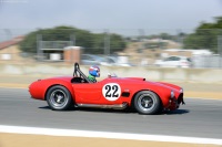 1965 Shelby Cobra 427.  Chassis number CSX3195