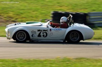 1965 Shelby Cobra 427.  Chassis number CSX3176