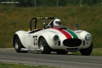 1965 Shelby Cobra 427.  Chassis number CSX3176