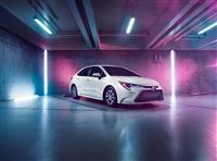 Toyota Corolla Hybrid Monthly Vehicle Sales