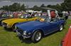 1975 Triumph TR6 image