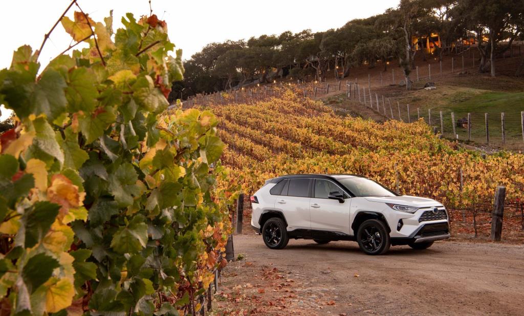All-New 2019 Toyota RAV4 Breaks The Mold For The Segment It Created