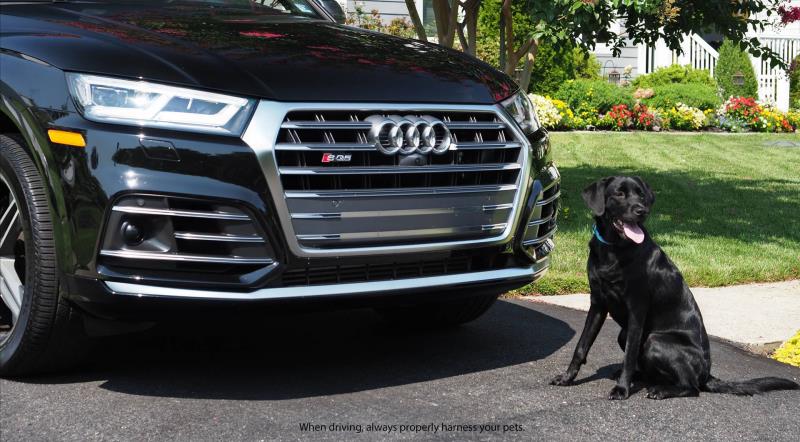 Woof! 2020 Audi Q5 Earns Spot In Autotrader's 10 Best Cars For Dog Lovers