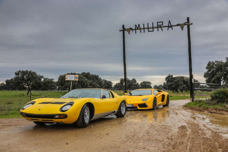 50 YEARS OF THE MIURA: CELEBRATIONS CLOSE WITH TRIP TO BULL BREEDING FARM IN SPAIN THAT LENT ITS NAME