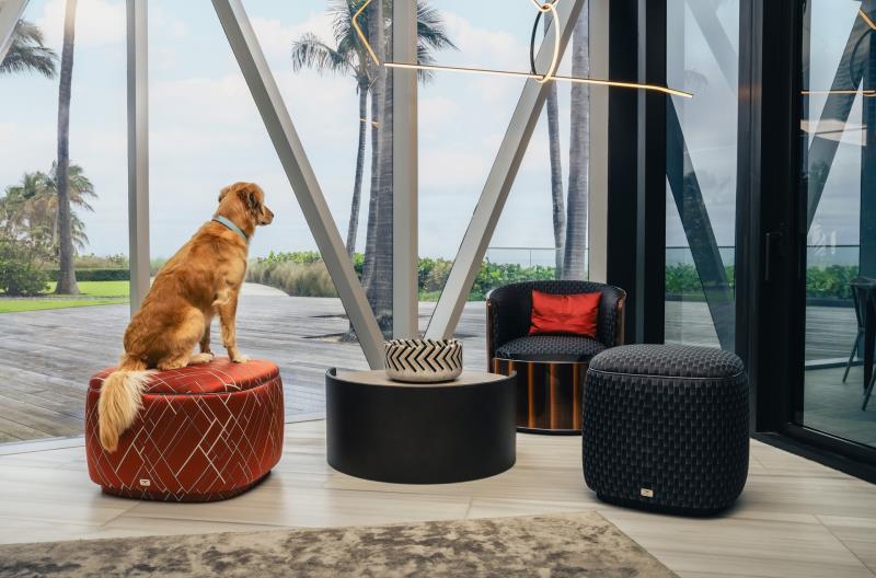 Unrivalled amenities unveiled - where even pets get a five star stay - at Bentley Residences, Sunny Isles Beach, Miami