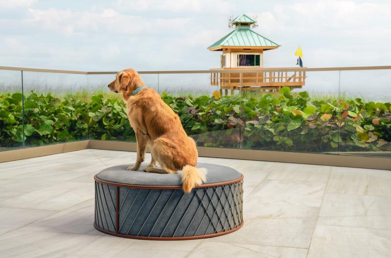 Unrivalled amenities unveiled - where even pets get a five star stay - at Bentley Residences, Sunny Isles Beach, Miami