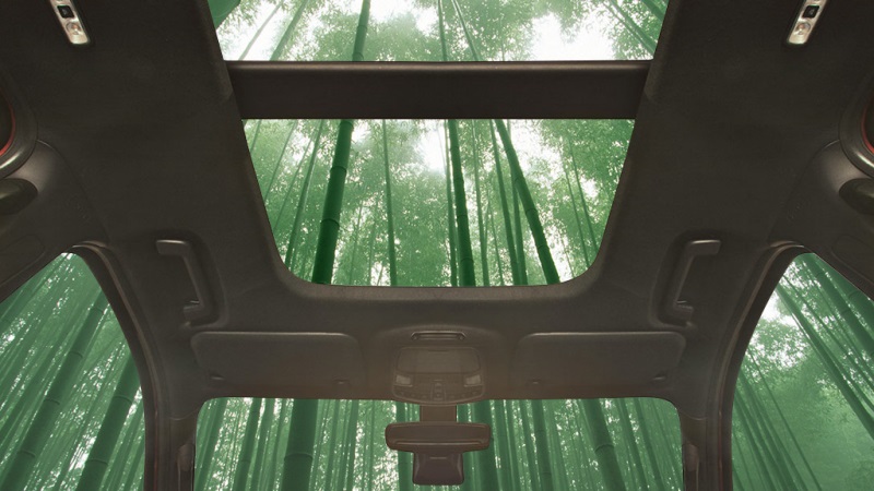 What's Super Strong, Fast Growing, And Potentially Part Of Your Next Car? Bamboo!