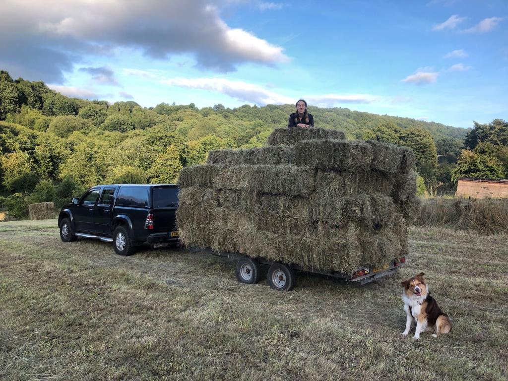 Isuzu D-Max triumphs in Big Tow showdown
