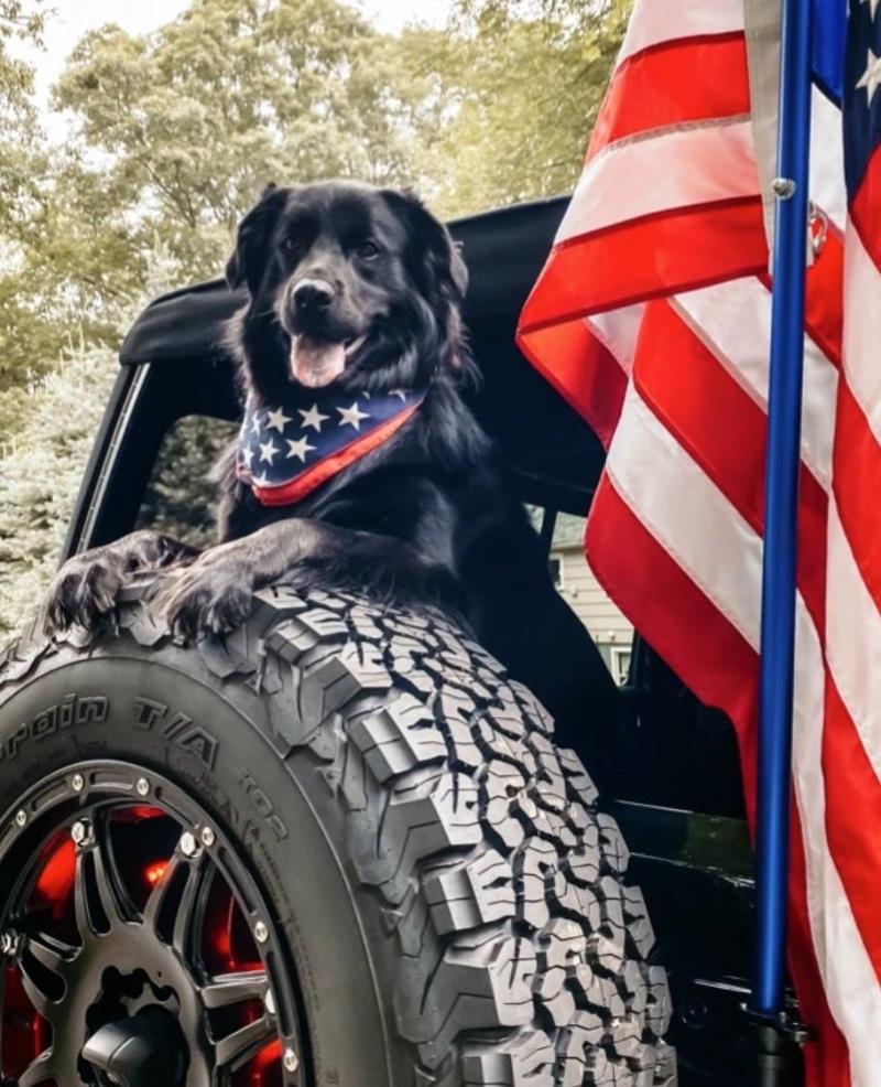 Jeep Brand Announces #Jeeptopcanine Winner, Bear, On National Dog Day