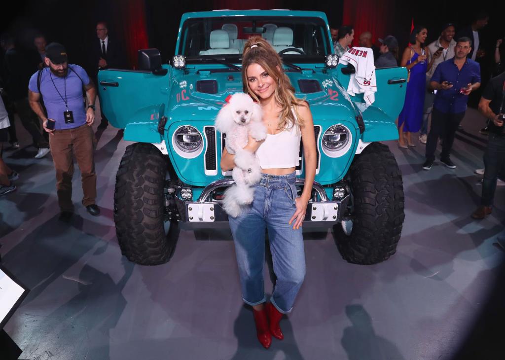 Maria Menounos Wins Jeep® Brand'S FirstEver Web Series Competition 'Jeep  Wrangler Celebrity Customs'